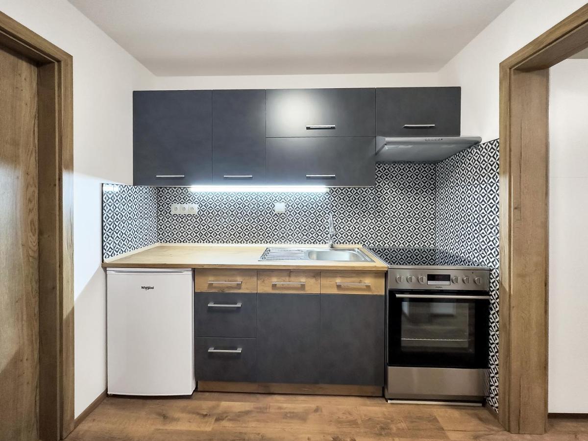 Apartment Katrin 2 Karlovy Vary Exterior photo